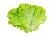 Hojas De Lechuga